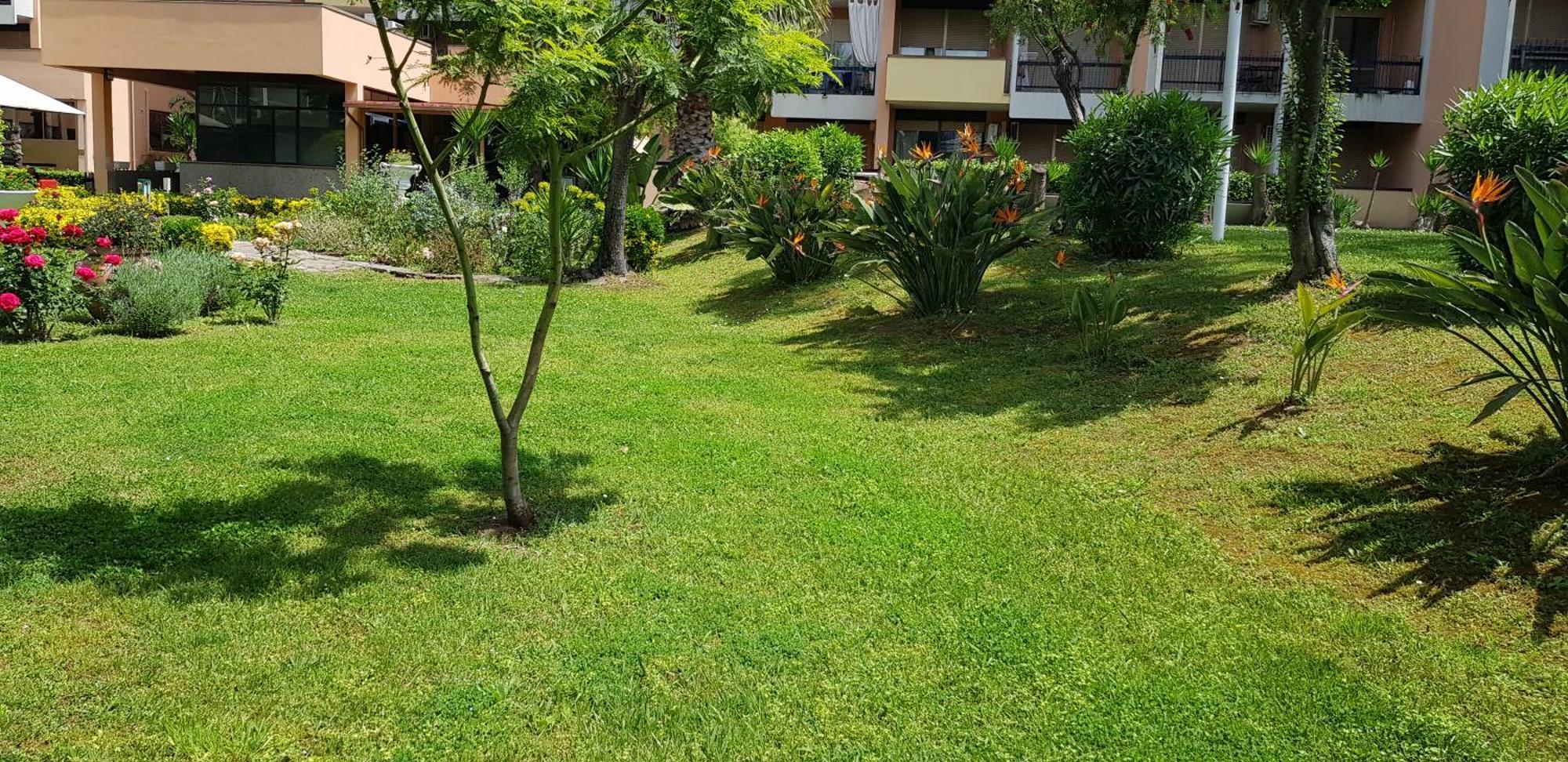 Green Oasis Roma Esterno foto